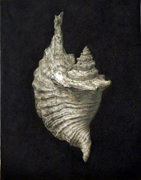 Fumiko ICHIDA 「水流地」