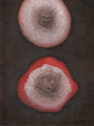 Fumiko ICHIDA 「水流地」